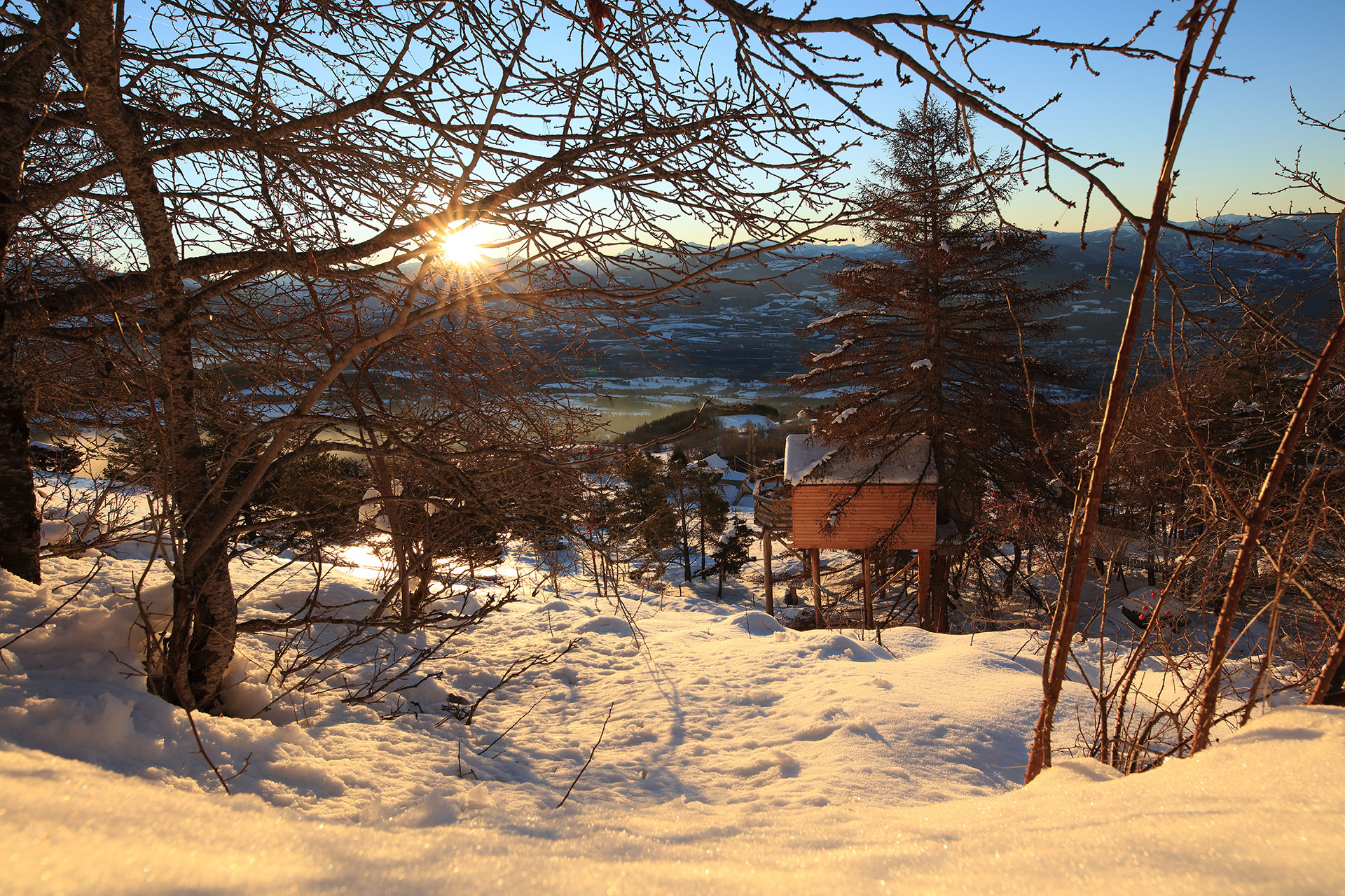 Cabane perchée en bois, entourée de neige et de sapins, avec un lever de soleil éclatant.