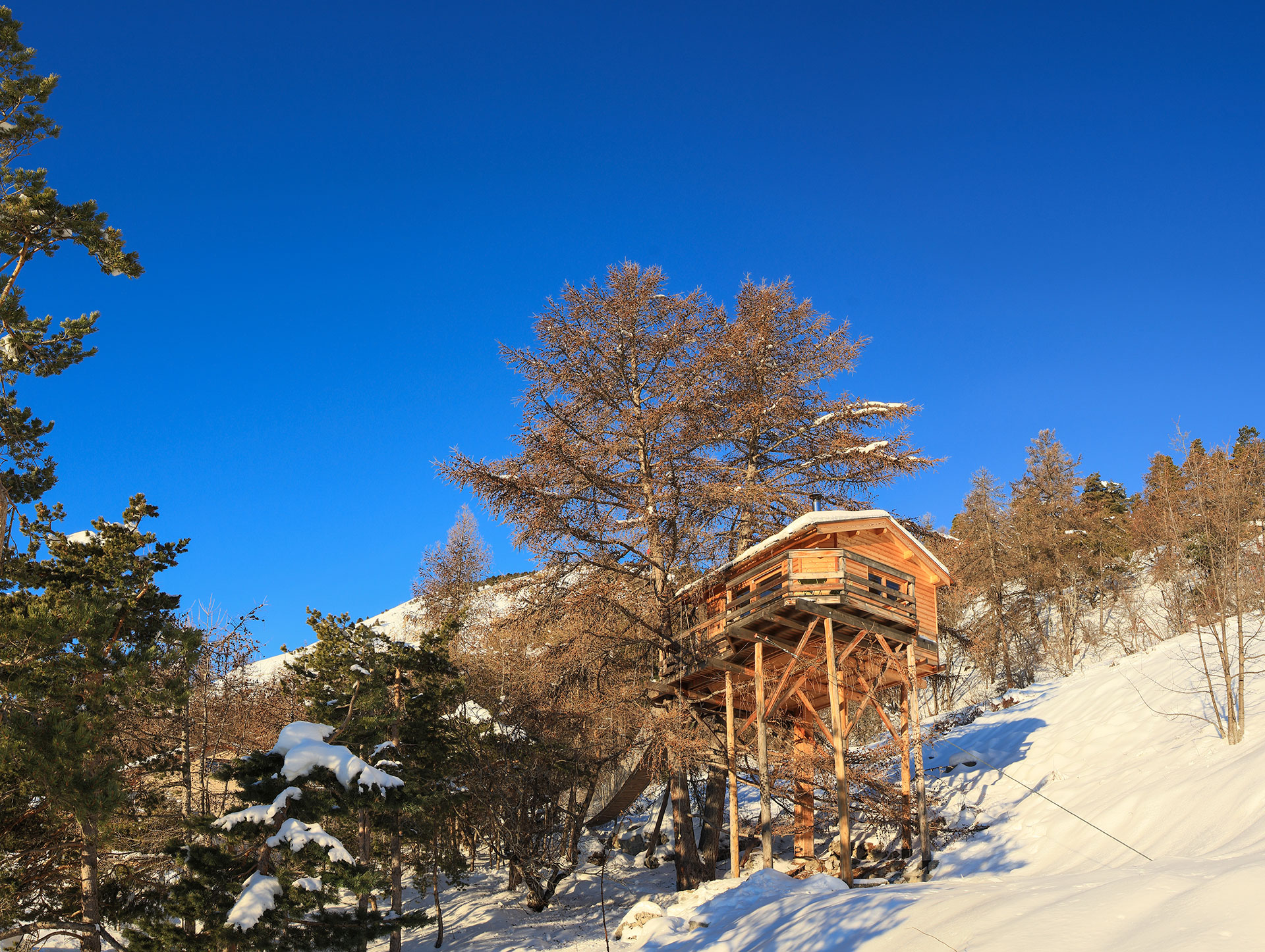 Cabane perchée en bois, entourée de neige et de sapins, sous un ciel bleu éclatant.