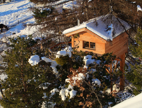 Cabane en bois perchée dans les arbres, entourée de neige et de sapins.