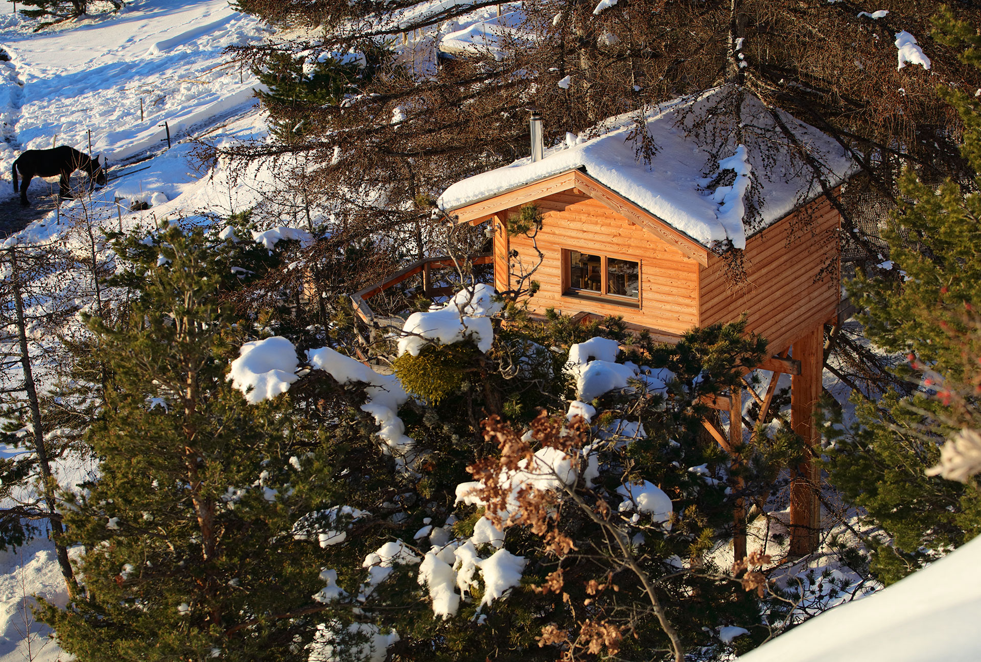 Cabane en bois perchée dans les arbres, entourée de neige et de sapins.