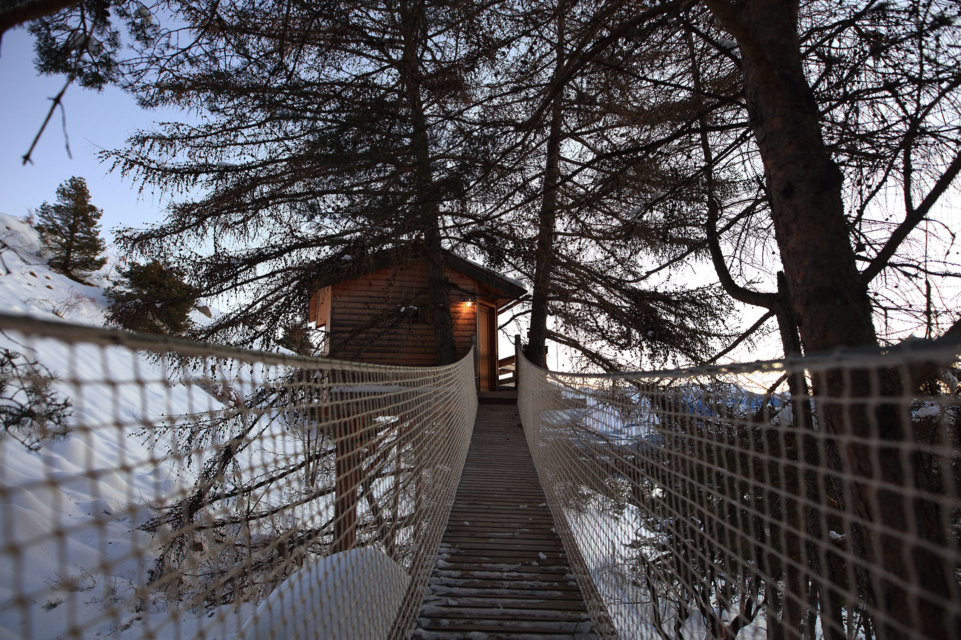 Cabane perchée dans les arbres, accessible par un pont suspendu, au cœur des Alpes.