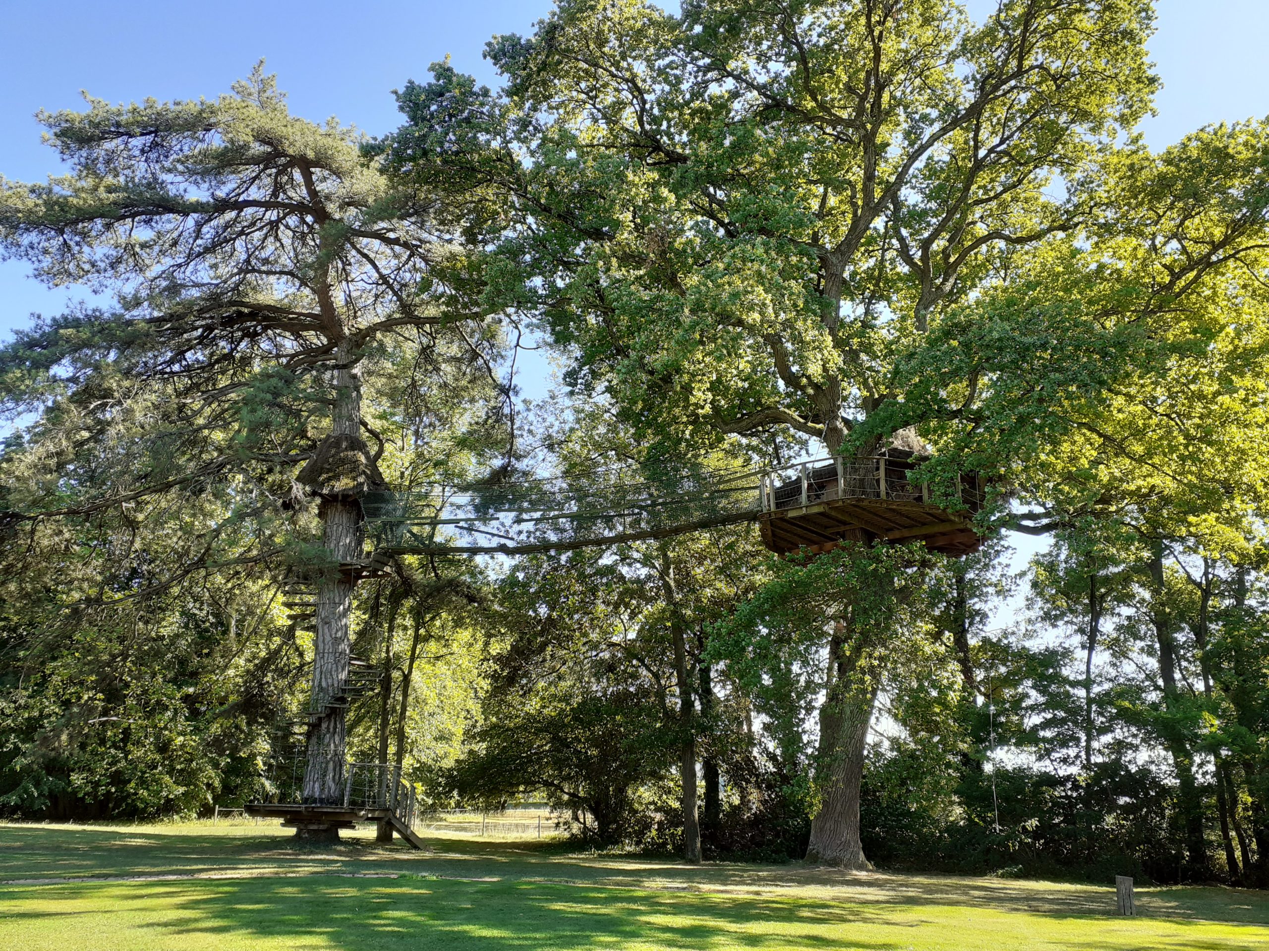 20190710_171933 Cabane perchée dans un arbre en Bourgogne, entourée de verdure luxuriante.