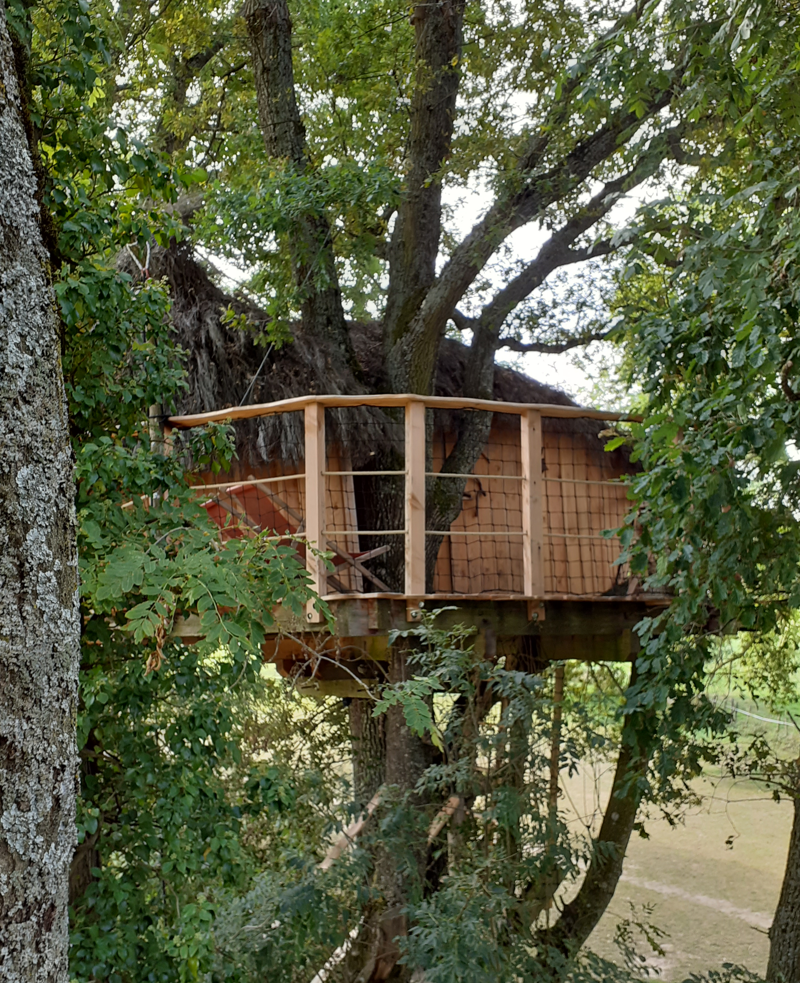 SAINT AMOUR Cabane perchée dans un arbre en Bourgogne, entourée de verdure luxuriante.