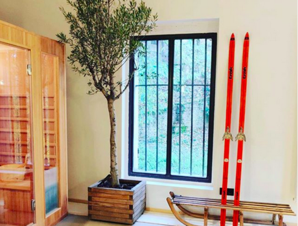 Hébergement insolite en Auvergne-Rhône-Alpes avec un arbre intérieur et des skis rouges.