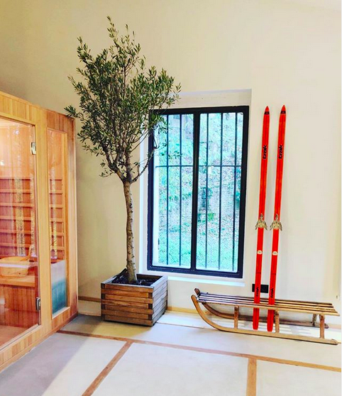 Hébergement insolite en Auvergne-Rhône-Alpes avec un arbre intérieur et des skis rouges.