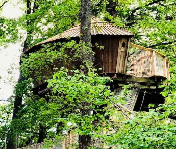ZOOM QUINTAINE (1) Cabane perchée dans les arbres en Bourgogne, entourée de verdure luxuriante.