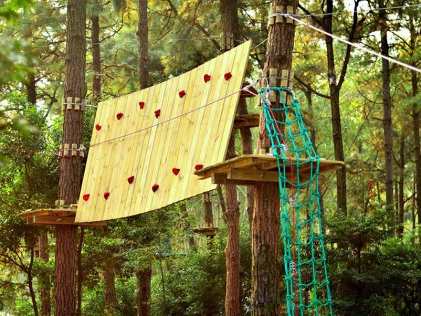 HLONOR014V519SJK_10 Cabane perchée dans les arbres en Basse-Normandie, avec mur descalade en bois.