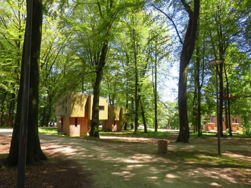 HLONOR014V519SJK_4 Cabane en bois moderne nichée dans une forêt verdoyante de Basse-Normandie.