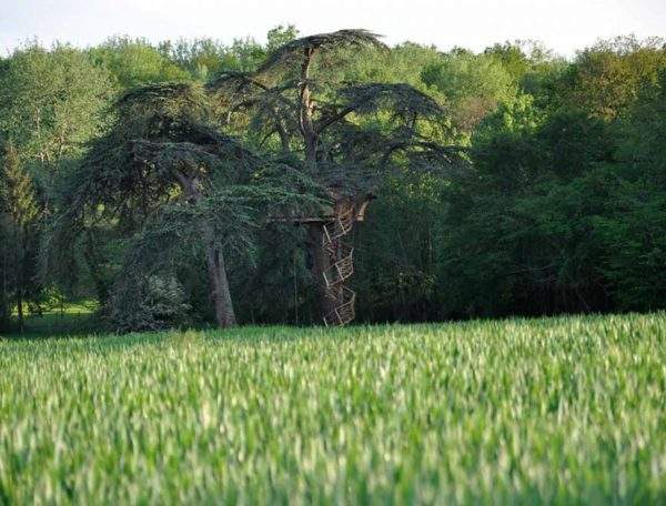 Cabane dans les arbres au cœur de la nature, entourée de champs verdoyants.