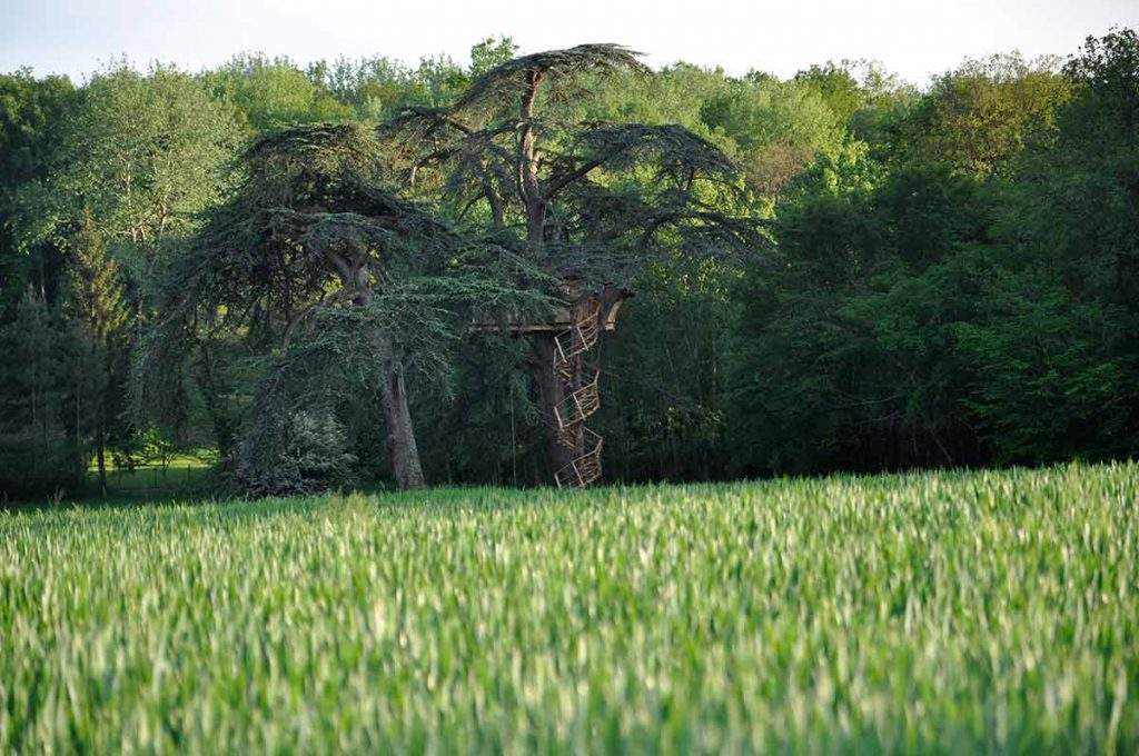 Cabane dans les arbres au cœur de la nature, entourée de champs verdoyants.