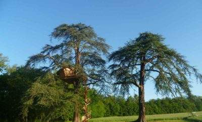 Cabane Africaine – Château du Vau