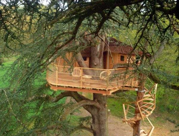 Cabane perchée dans un arbre, avec terrasse en bois et vue sur la nature environnante.