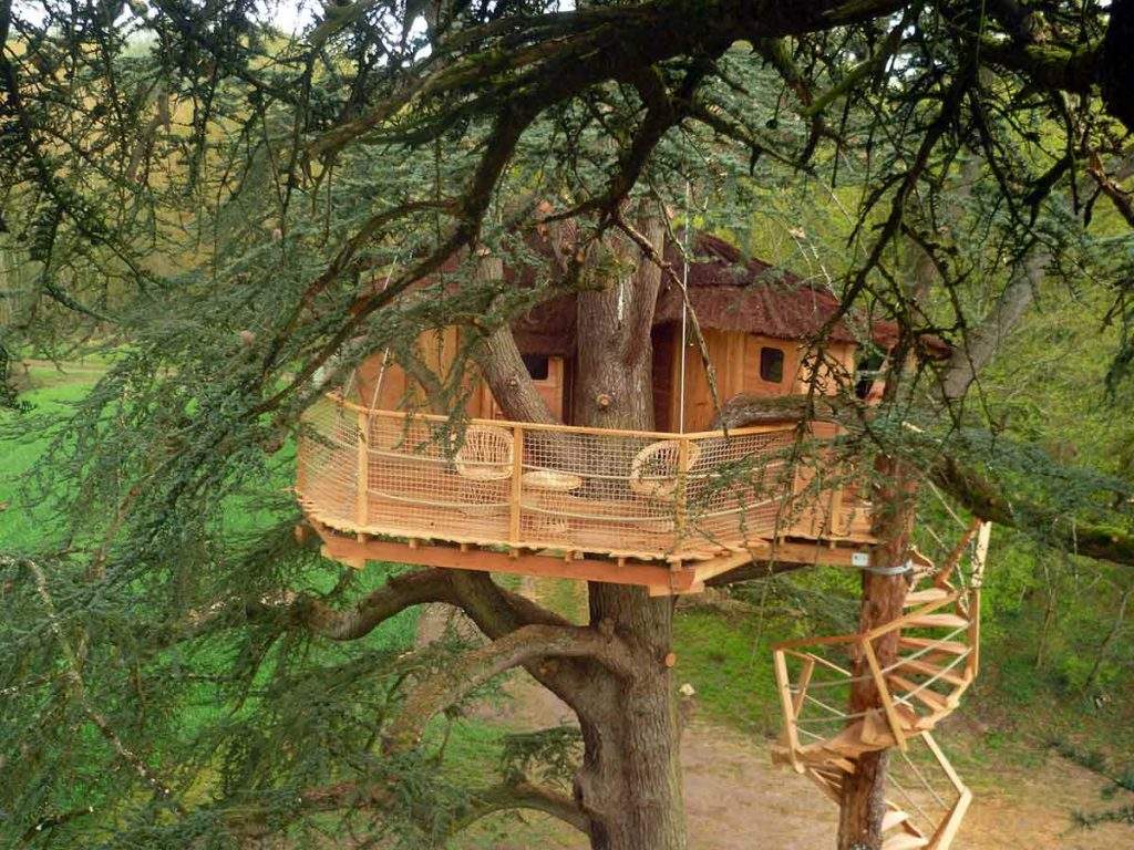 Cabane perchée dans un arbre, avec terrasse en bois et vue sur la nature environnante.