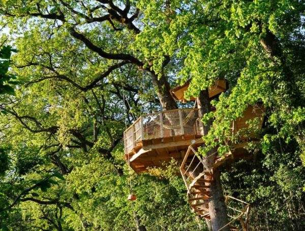 Cabane dans les arbres au cœur de la nature, entourée de feuillage verdoyant.