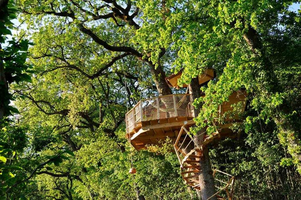 Cabane dans les arbres au cœur de la nature, entourée de feuillage verdoyant.