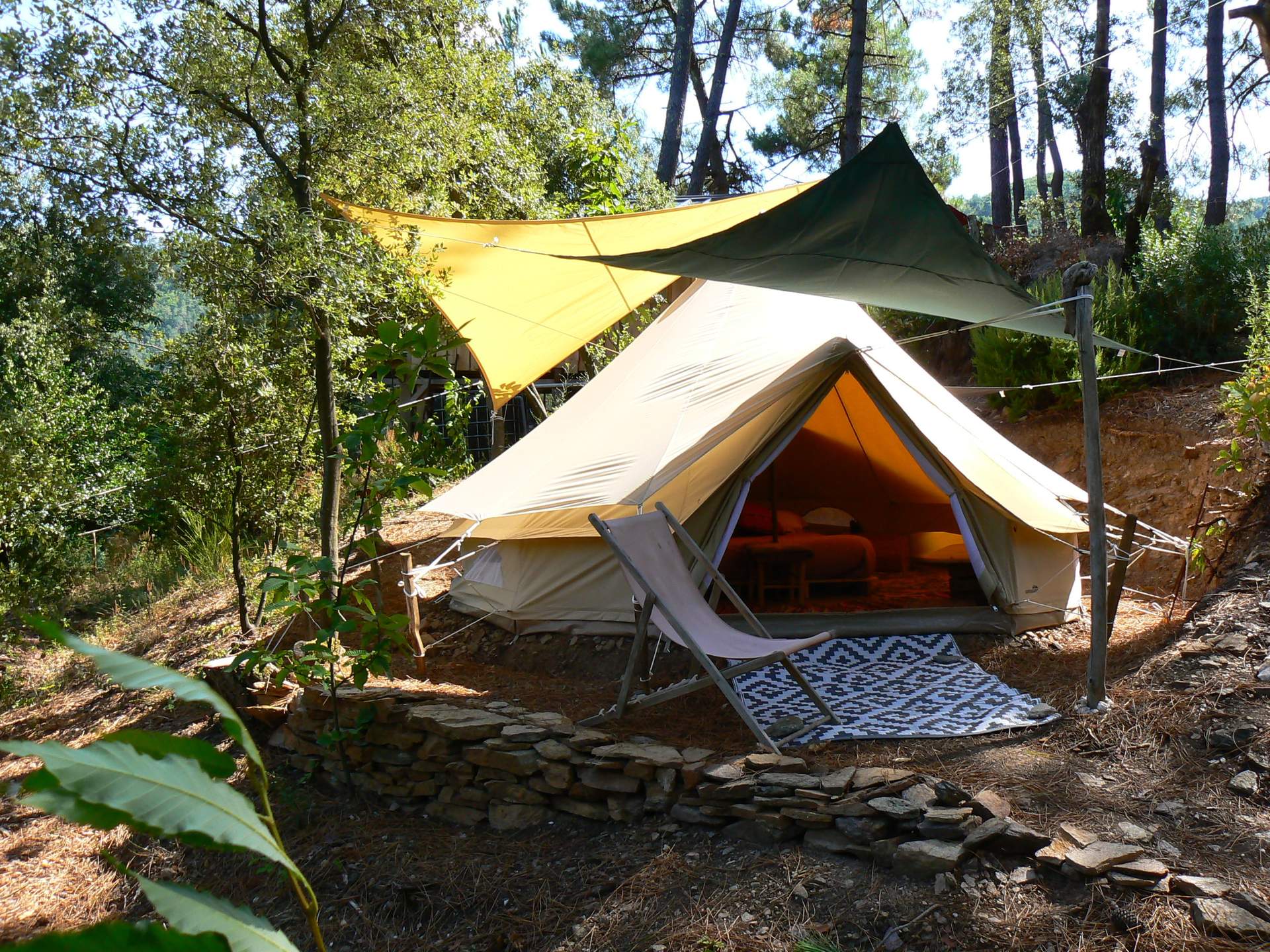 P1100036 Tente safari confortable en pleine nature, entourée darbres et de verdure.