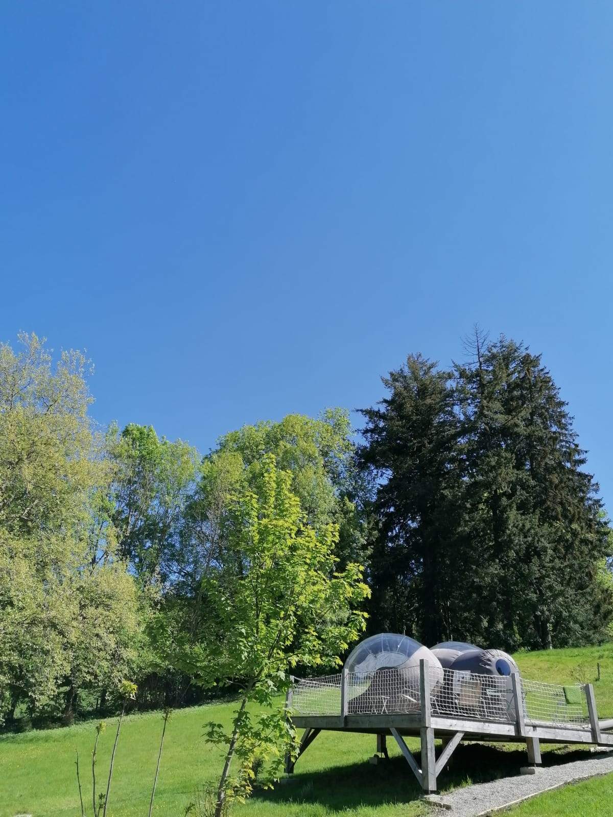double bulle (2) Hébergement insolite en bulle transparente, entouré de verdure et ciel bleu.