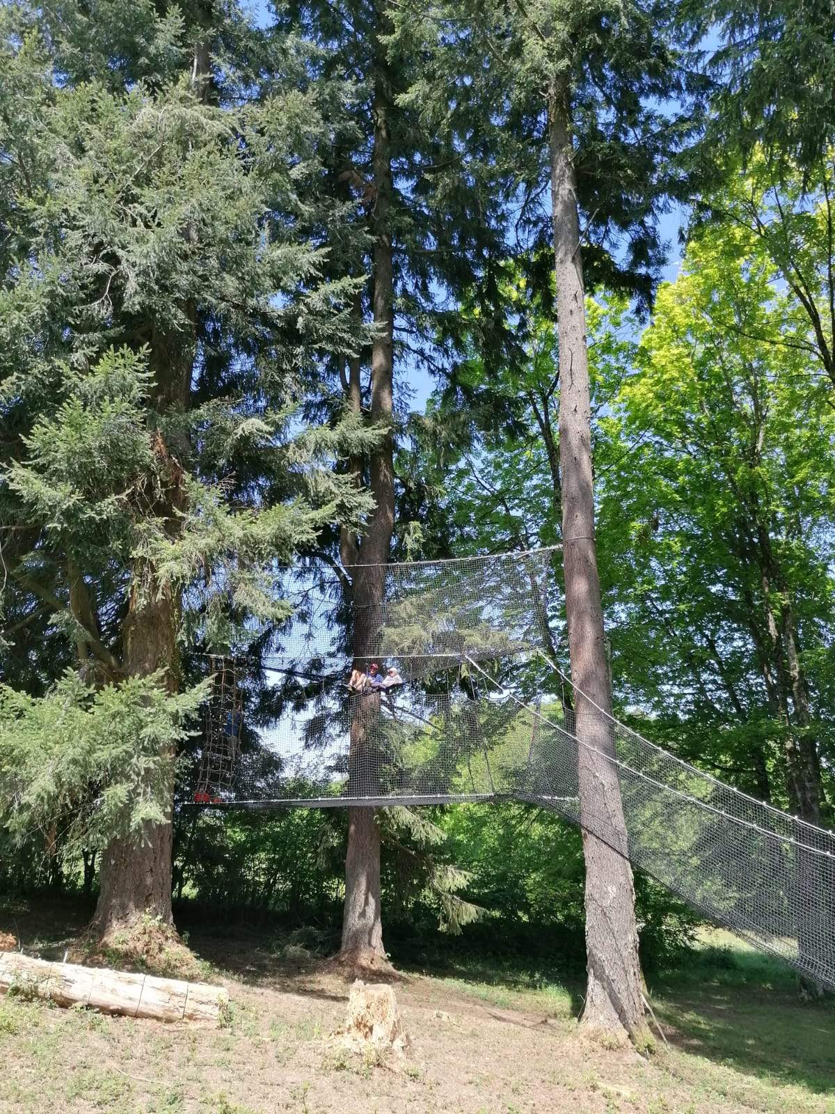 mer de filets Cabane suspendue dans les arbres, entourée de grands sapins verdoyants.