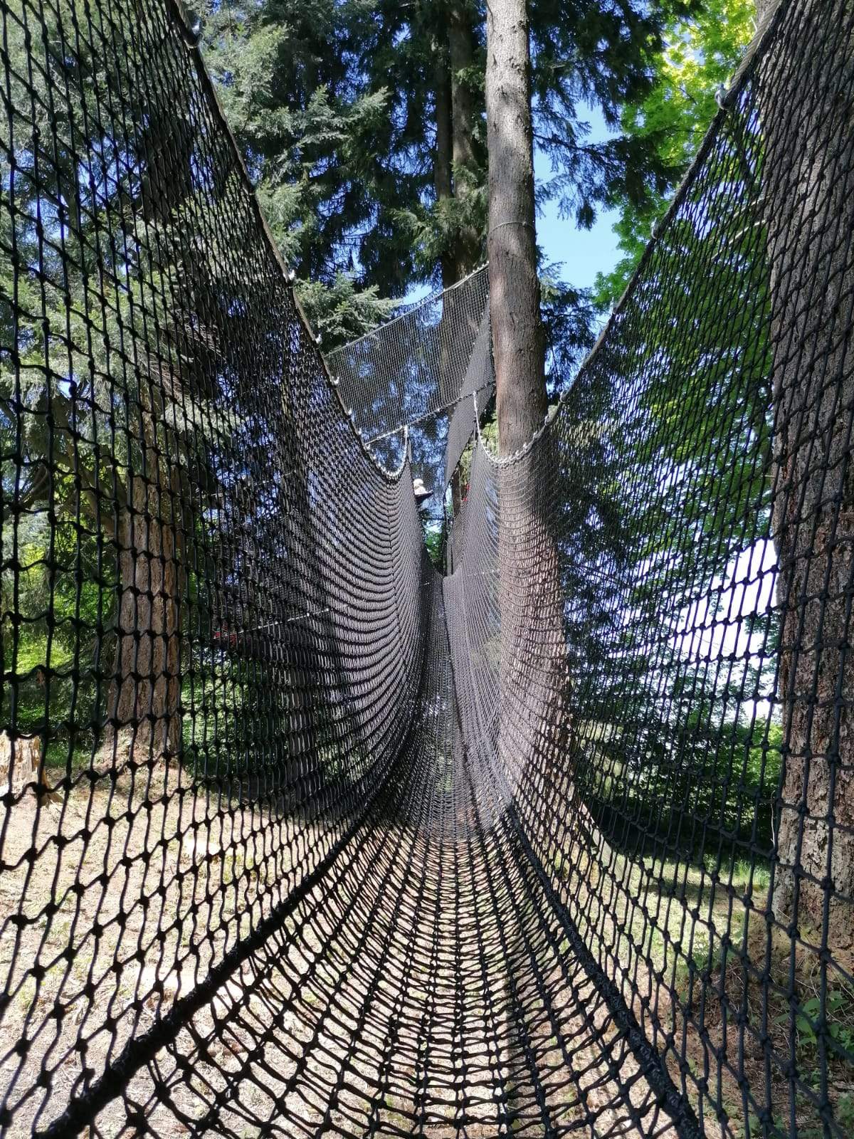 passerelle filet Hébergement insolite en filet suspendu entre les arbres, offrant une vue imprenable.
