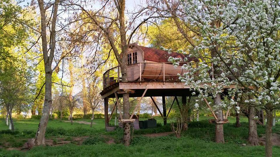 10155806_690825474309398_3883231505247404786_n Cabane perchée en bois, entourée darbres et de fleurs blanches en Basse-Normandie.