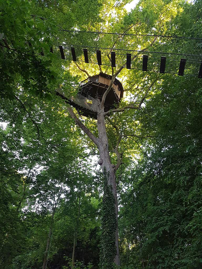 20170526_204525 Cabane perchée dans un arbre, entourée de feuillage verdoyant en Basse-Normandie.