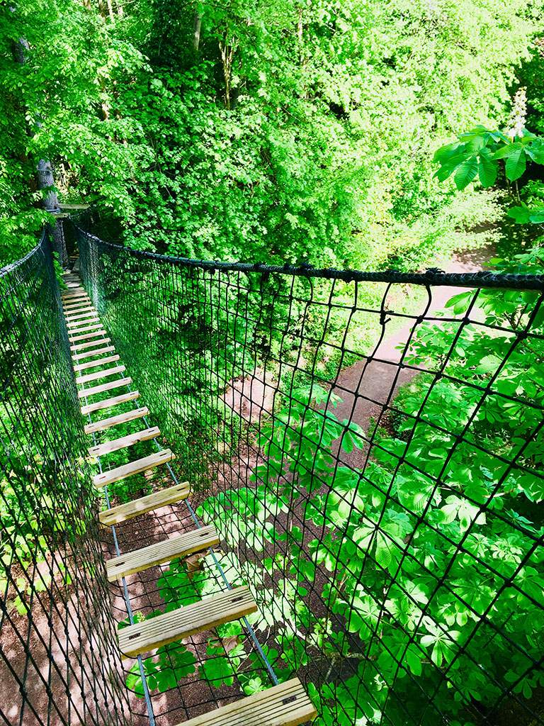 IMG_E5219 Hébergement insolite en cabane dans les arbres, passerelle suspendue au milieu de la verdure.