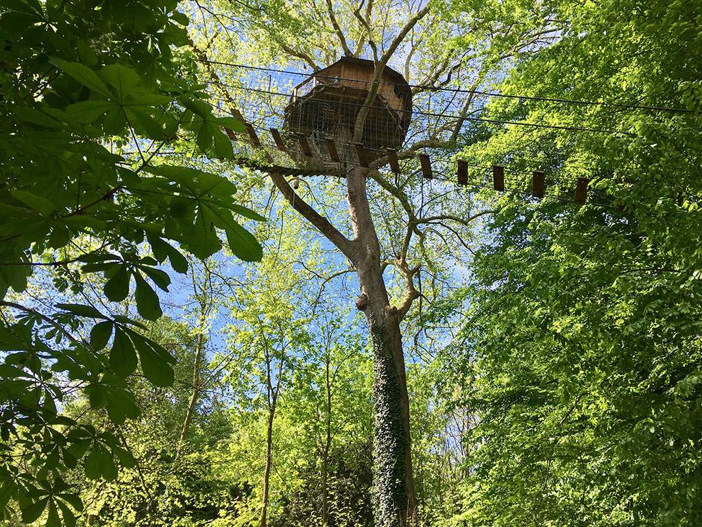 IMG_E5221 Cabane perchée dans un arbre, entourée de verdure luxuriante en Basse-Normandie.