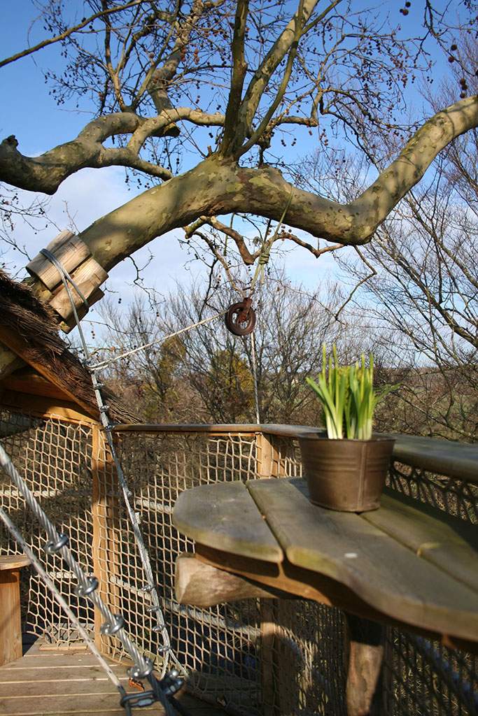 NDA-janv2011-027 Cabane perchée dans un arbre, vue sur la nature et plante en pot sur la table.