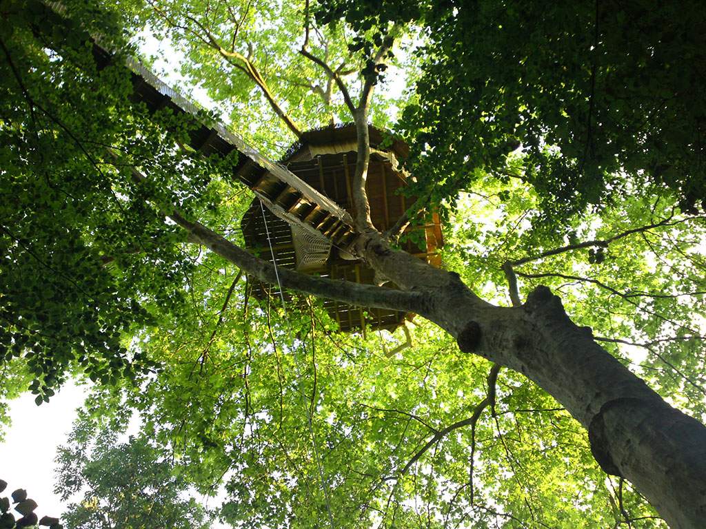 cabane-arbre-(2) Cabane dans les arbres en Basse-Normandie, perchée au milieu dun feuillage verdoyant.