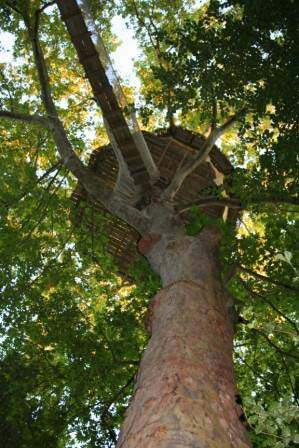 cabane la plus haute de France Cabane perchée dans un arbre, entourée de feuillage verdoyant en Basse-Normandie.
