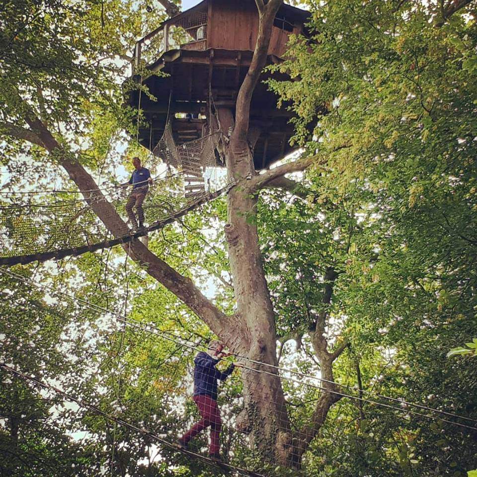 nda Cabane dans les arbres en Basse-Normandie, perchée au cœur dune verdure luxuriante.