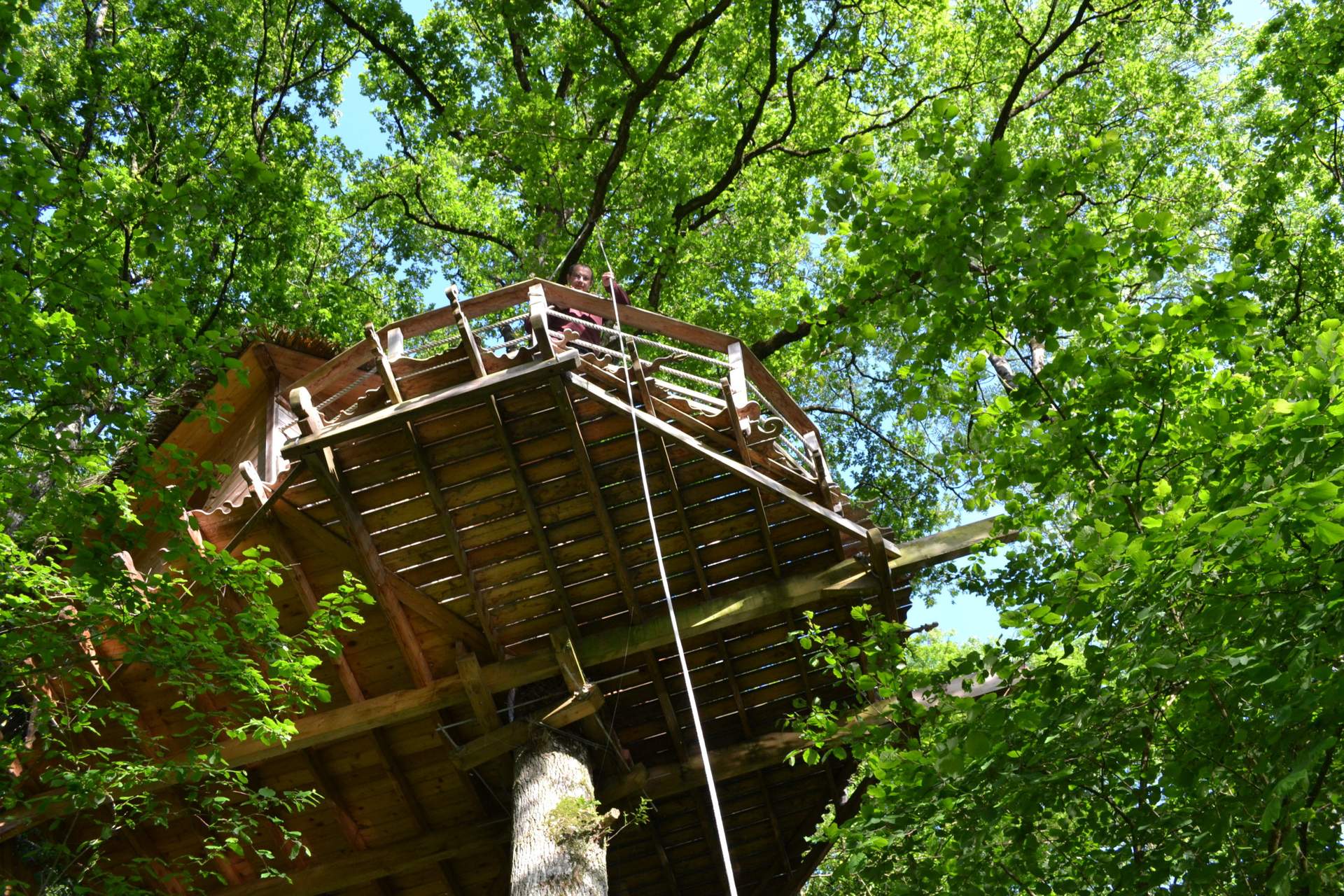 DSC_0331 Cabane perchée dans les arbres, entourée de feuillage verdoyant et lumineux.