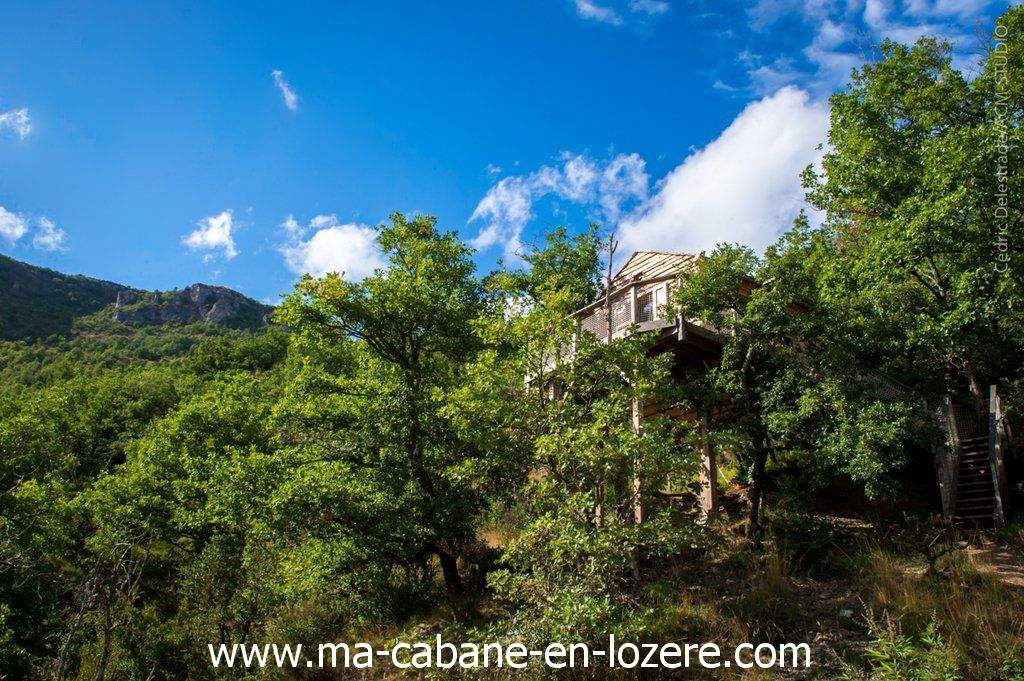 Cabane_Ecureuil _Ma p_tite_Cabane en Lozère Cabane perchée dans les arbres, entourée de verdure et de montagnes.