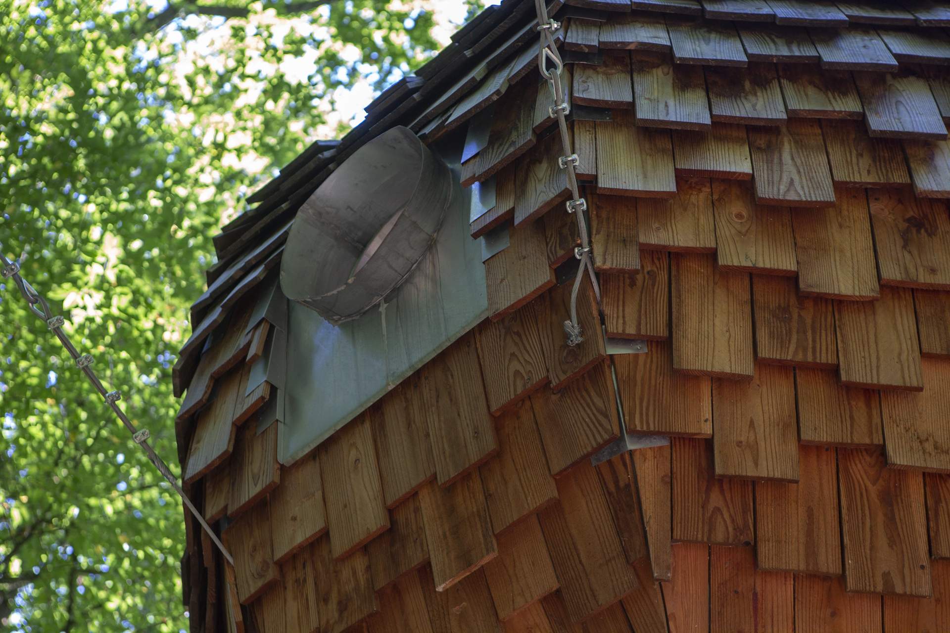 _E2B3587 Cabane en bois au toit en bardeaux, nichée dans la verdure de Champagne-Ardennes.