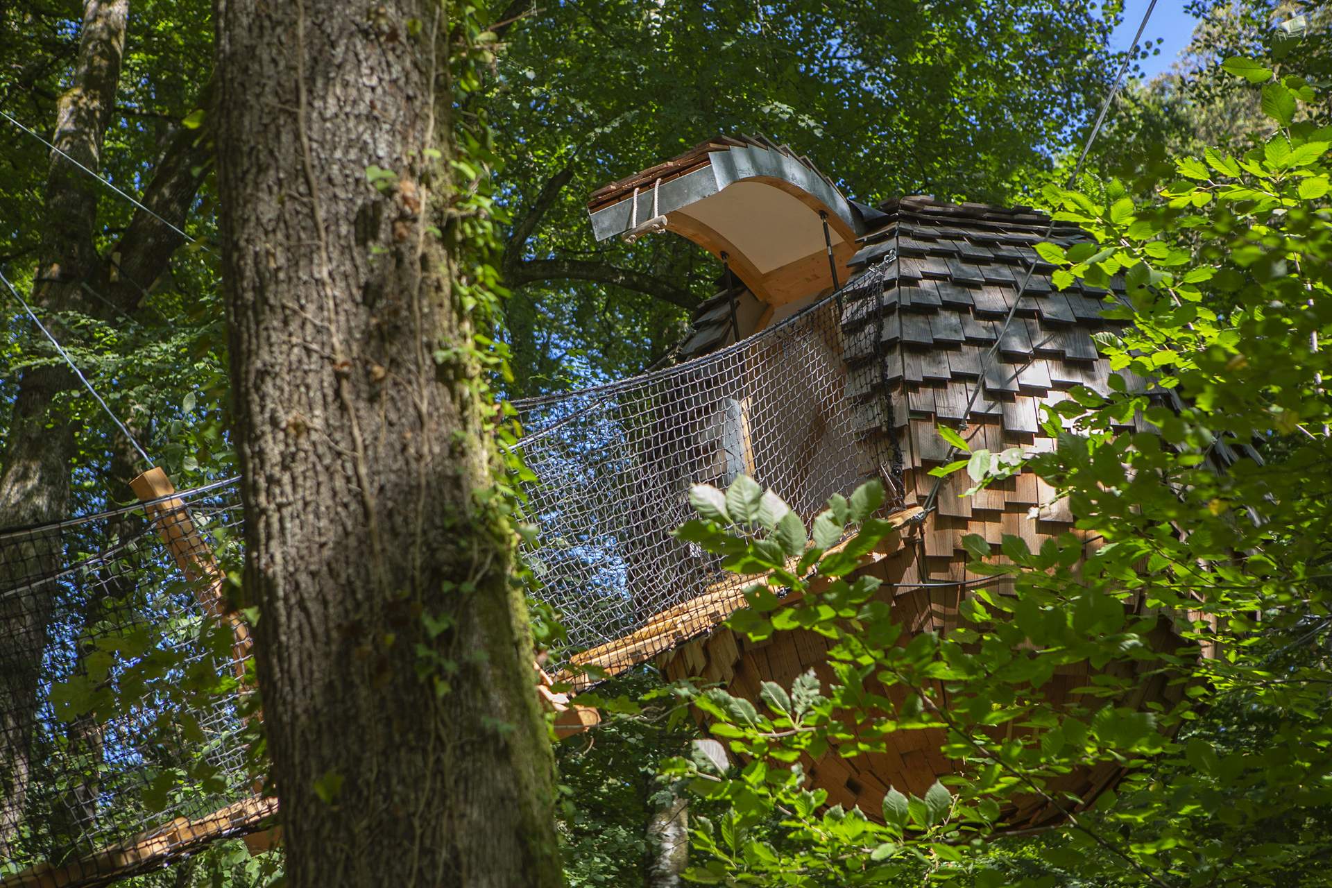 _E2B3589 Cabane perchée dans les arbres, entourée de verdure luxuriante à Champagne-Ardennes.
