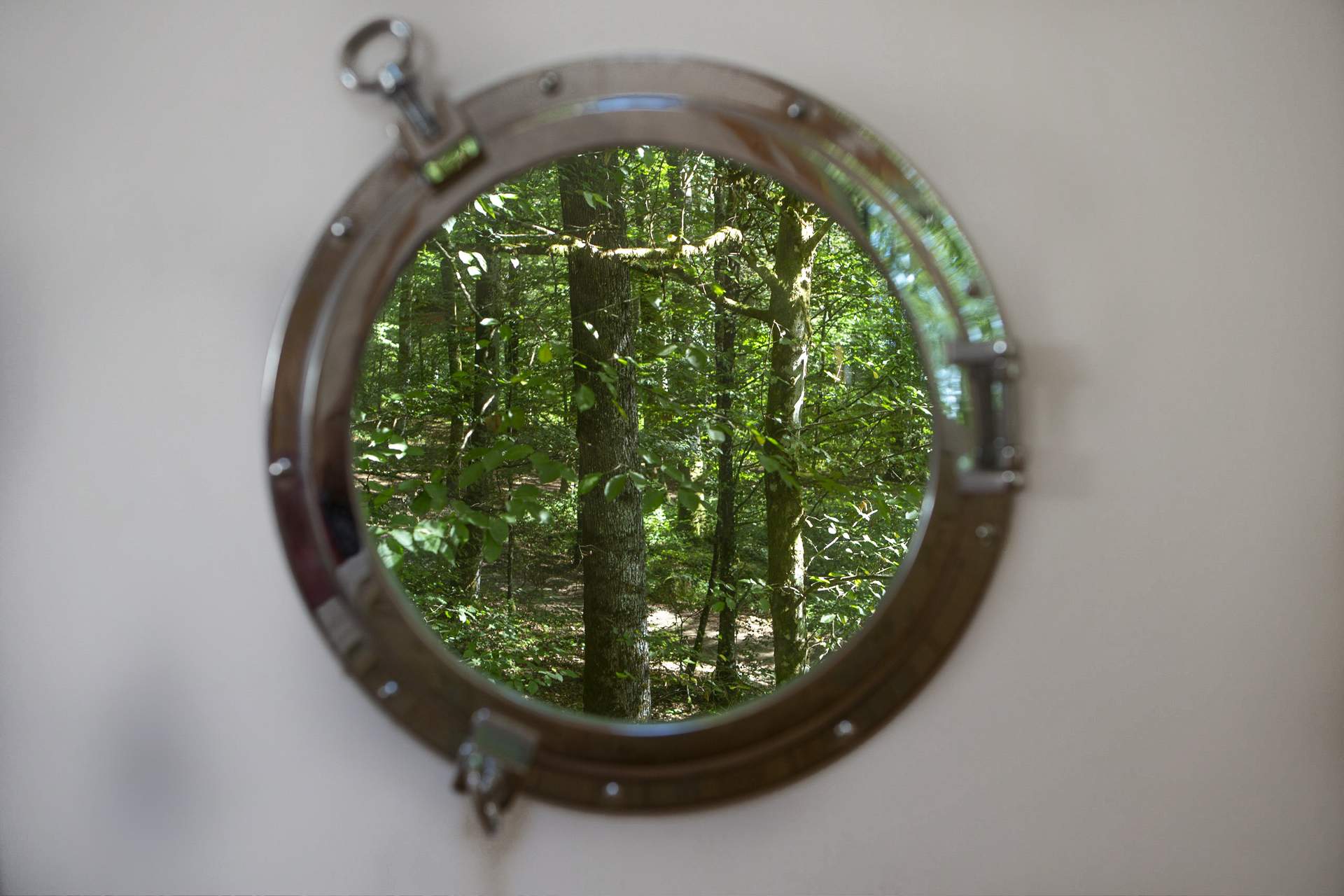 _E2B3592 Hébergement insolite en Champagne-Ardenne, vue circulaire sur la forêt verdoyante.