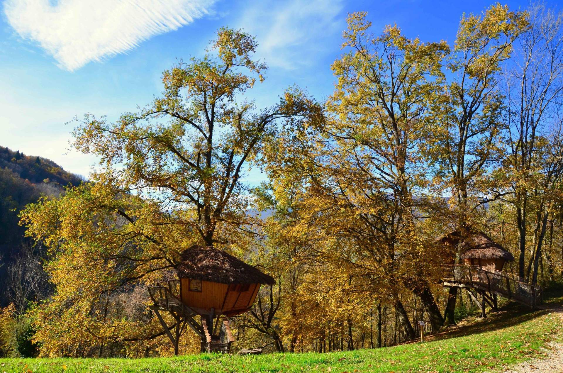 cabane-automne Cabane perchée dans les arbres, entourée de feuillage automnal en Auvergne-Rhône-Alpes.