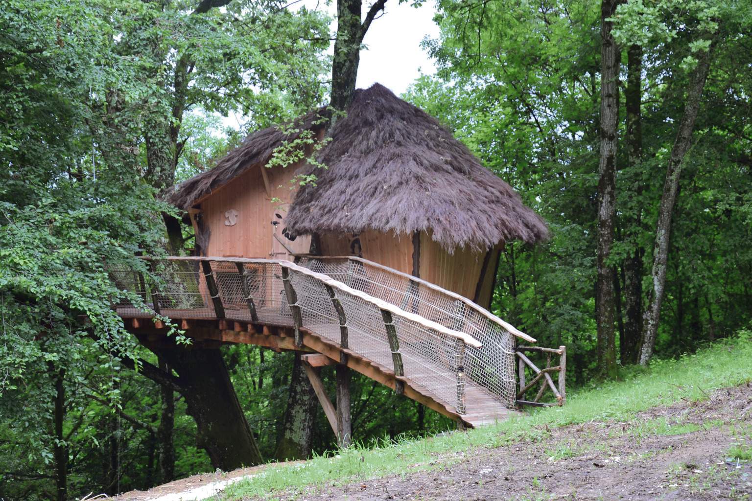 cabane pain d'epices Cabane perchée en bois avec toit de chaume, entourée darbres verdoyants.