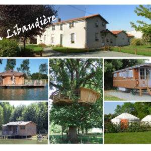 carte-postale-2019-format-agrandi(3)