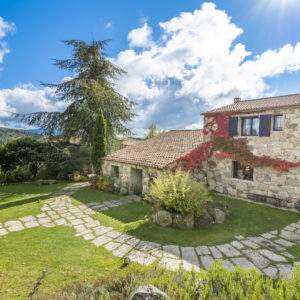 pignata format web 4k by iris production-3