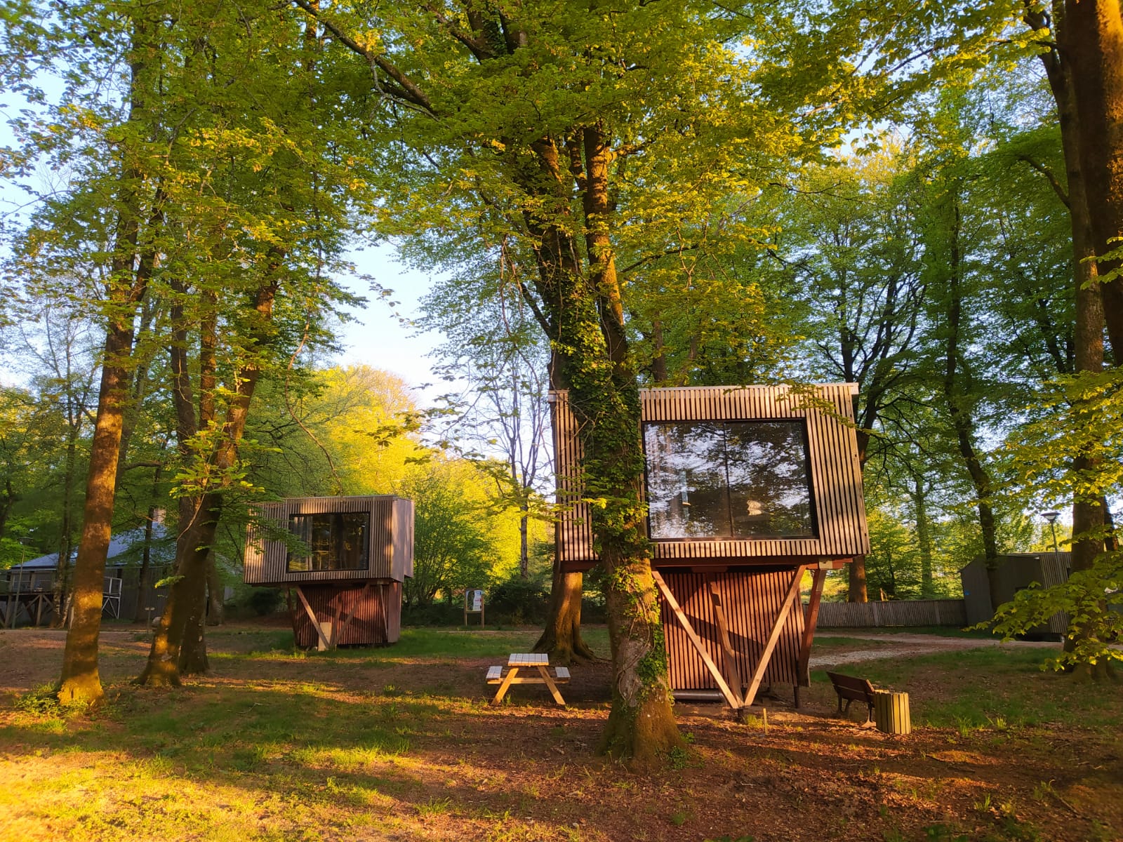 etape en foret hebergement insolite Cabane perchée en bois, entourée darbres verdoyants en Basse-Normandie.