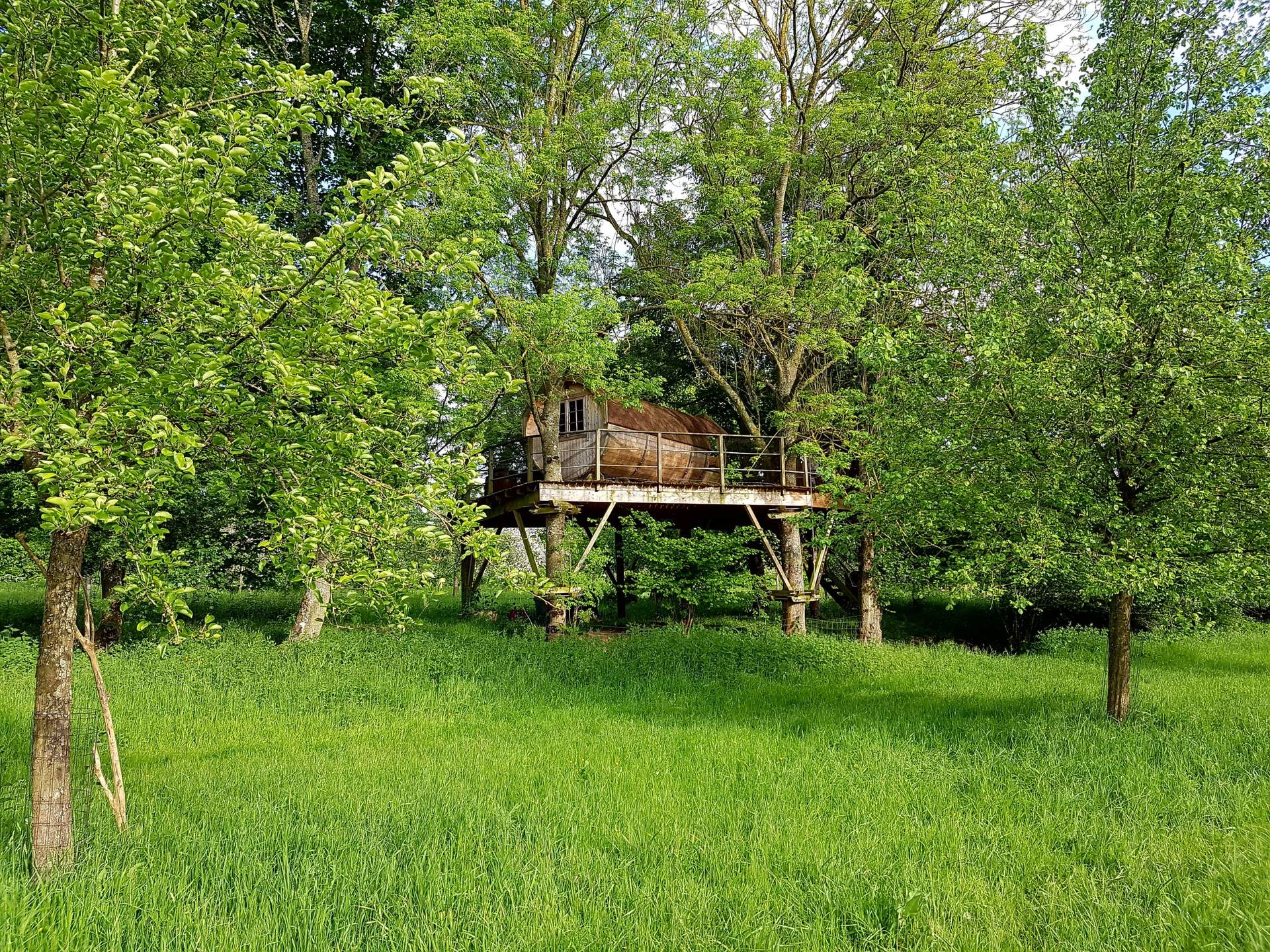 20160524_190841 Cabane perchée en bois, entourée darbres verdoyants en Basse-Normandie.