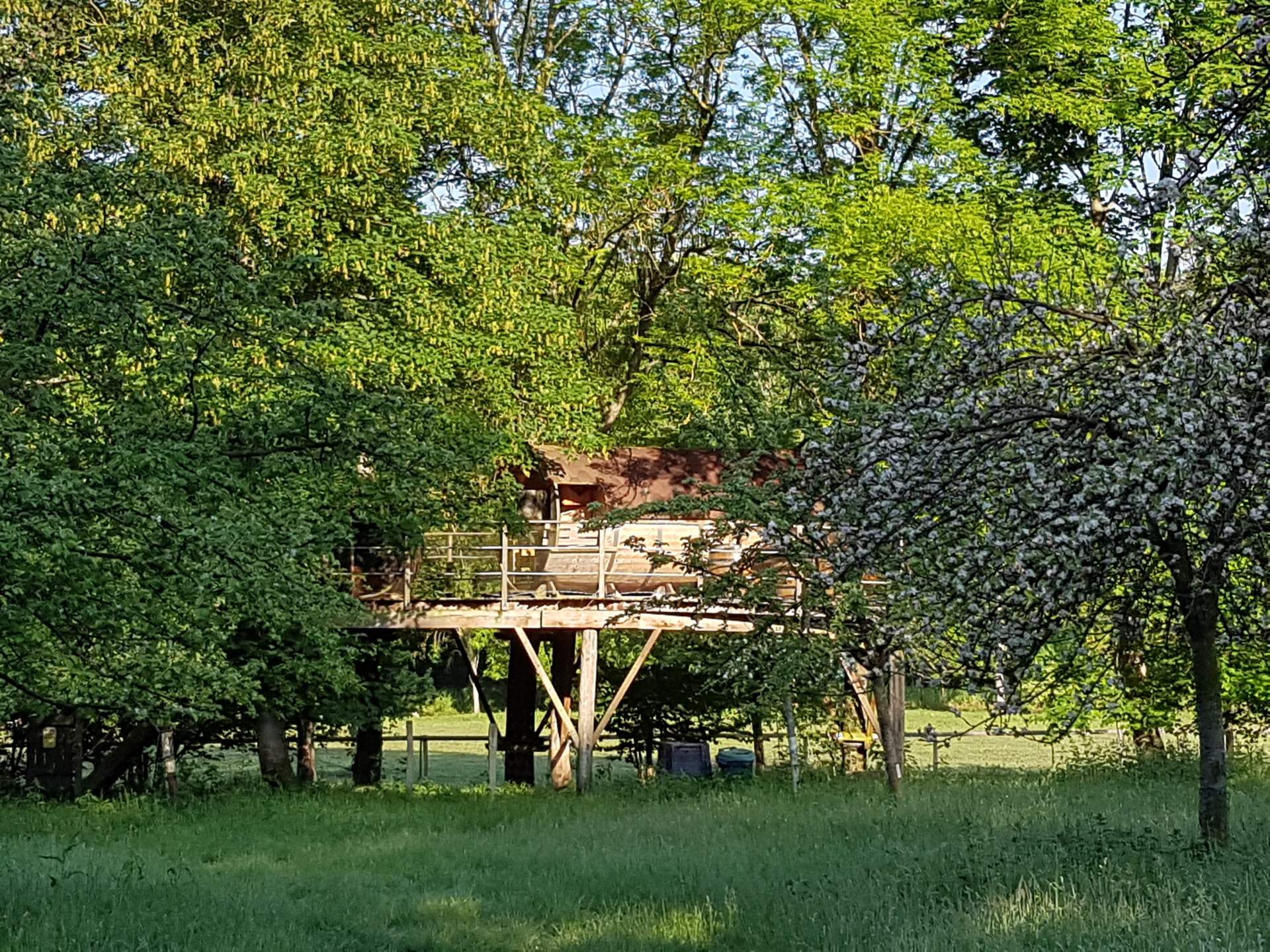 20160526_084606 Cabane perchée en bois, entourée darbres verdoyants en Basse-Normandie.