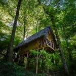 Cabane dans les arbres, perchée au milieu dune forêt verdoyante et ensoleillée.