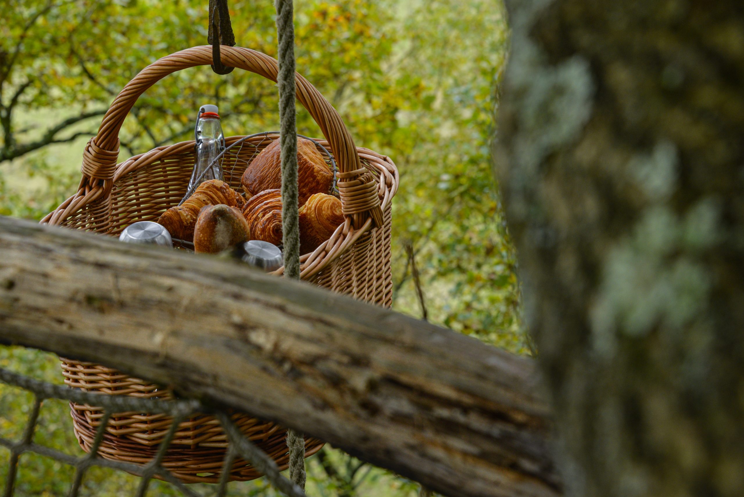 Photo la cabane perchée au bois d'Emma et Loue, Eauze, Gers, Midi pyrénnées, Occitanie (4)