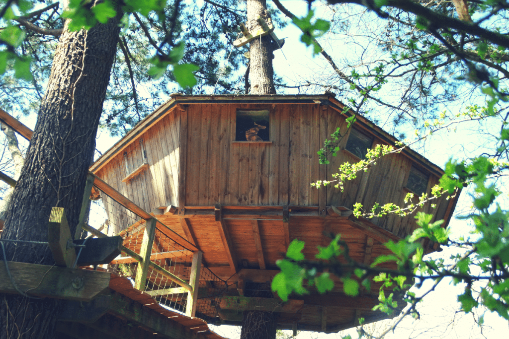 Cabane-Baman5-1024x683 Cabane perchée en bois dans les arbres, entourée de feuillage verdoyant.