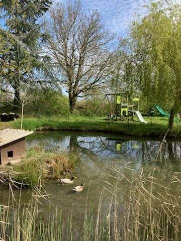 IMG_9525 Hébergement insolite en Languedoc-Roussillon, avec un étang et des canards paisibles.