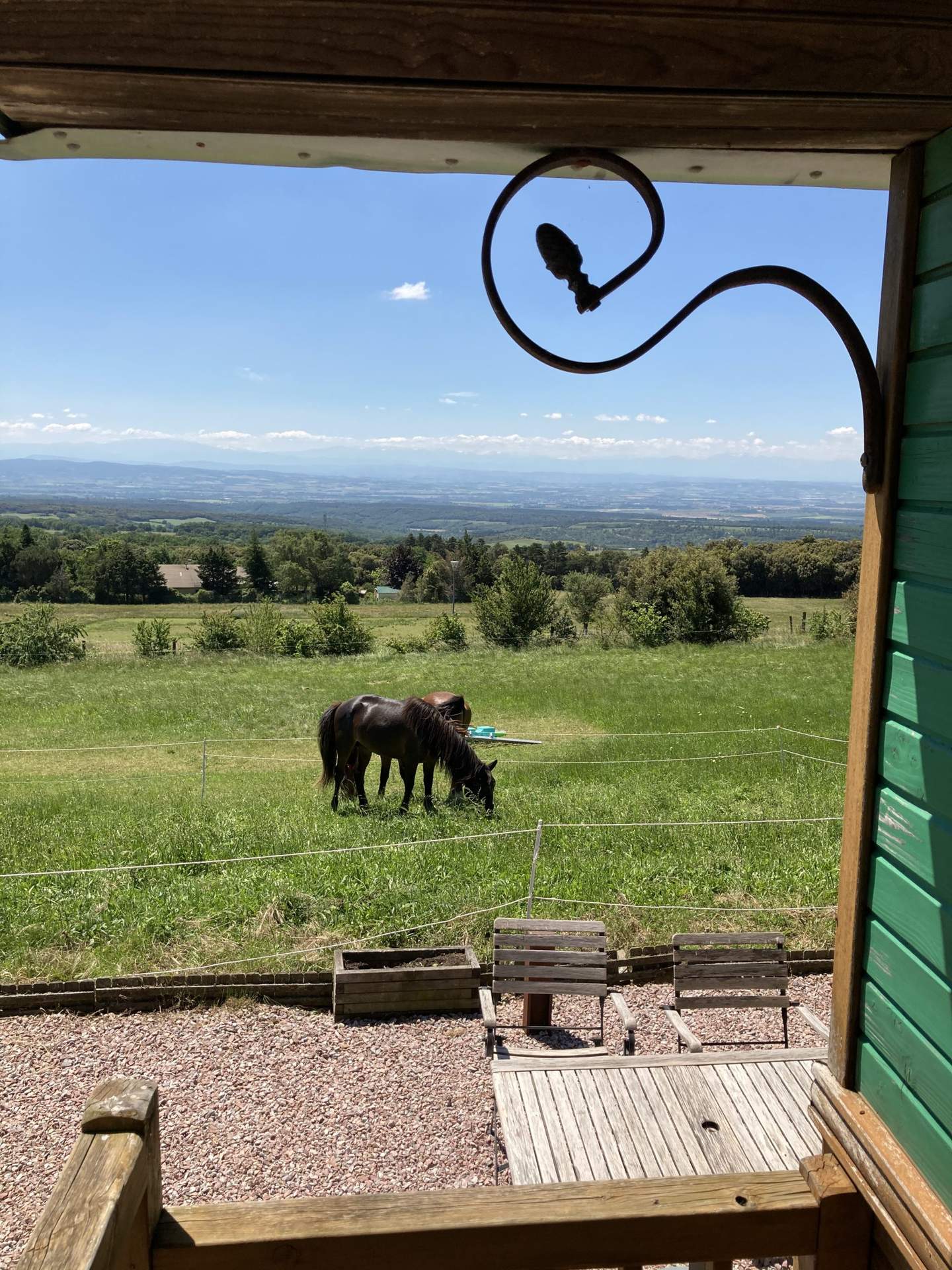 ROULOTTE (5) Cabane perchée avec vue sur des chevaux dans un paysage verdoyant du Languedoc-Roussillon.