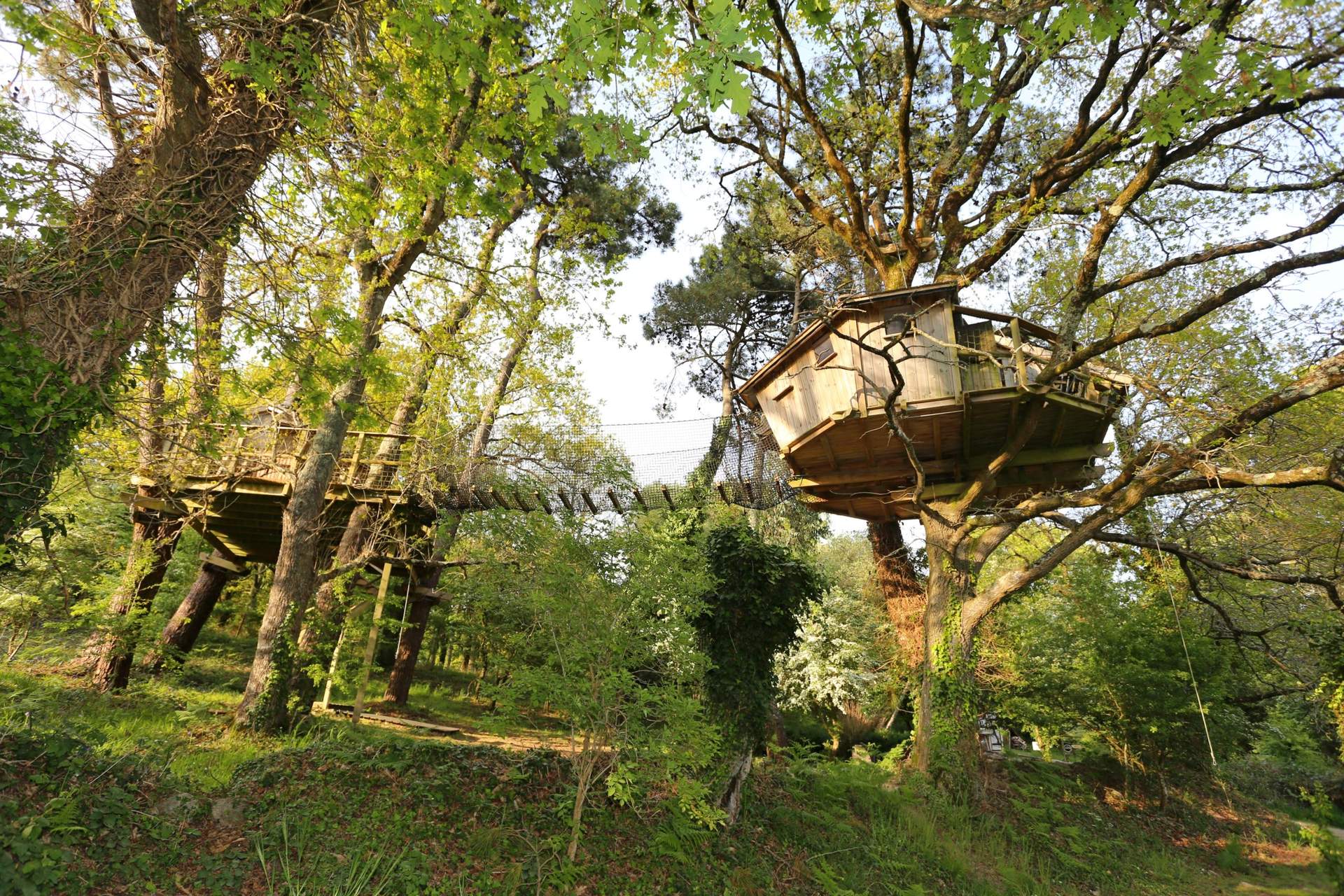 Stéphane MARIE (6) Cabane perchée dans les arbres en Bretagne, entourée de verdure luxuriante.
