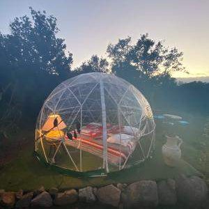 Dôme transparent en Corse, offrant une vue imprenable sur la nature environnante.